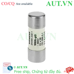Ảnh của Cầu chì sứ hình trụ SIEMENS 3NW6230-1 