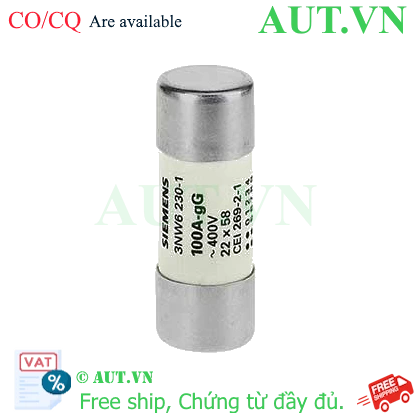 Ảnh của Cầu chì sứ hình trụ SIEMENS 3NW6230-1 