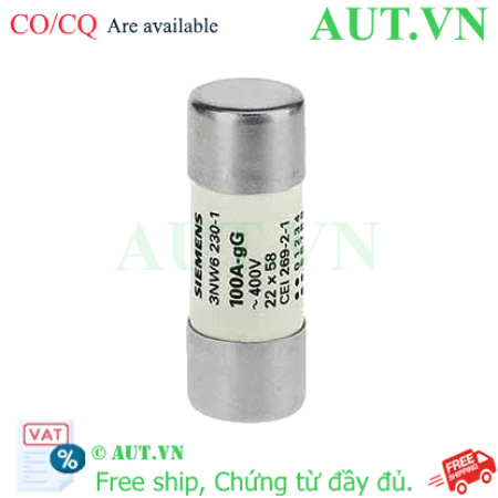 Ảnh của Cầu chì sứ hình trụ SIEMENS 3NW6230-1 