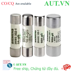 Ảnh của Cầu chì sứ hình trụ SIEMENS 3NW6301-1 