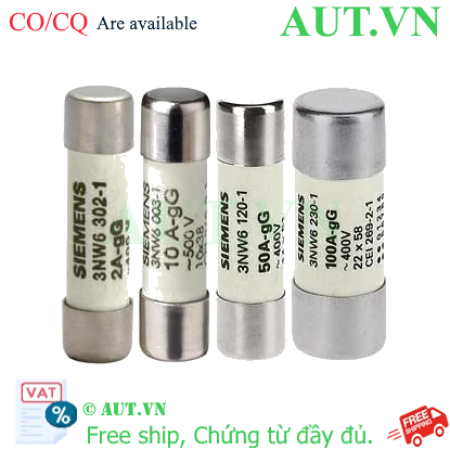 Ảnh của Cầu chì sứ hình trụ SIEMENS 3NW6301-1 
