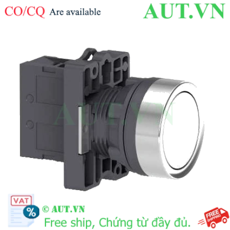 Ảnh của Nút nhấn nhả Schneider XA2EA11, 22mm