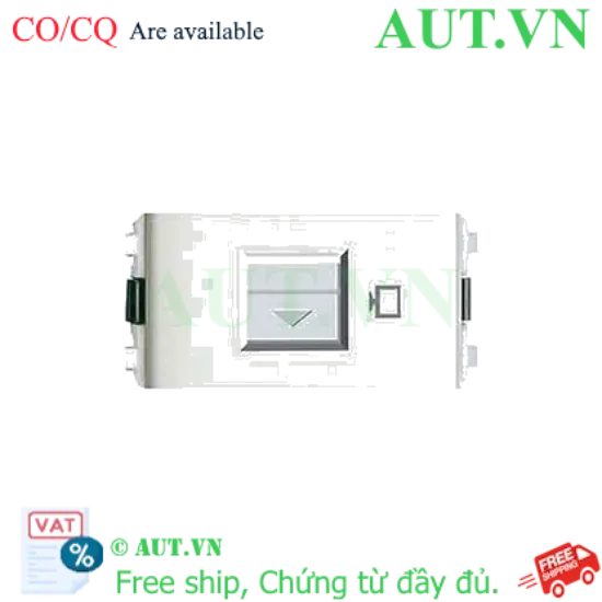 Ảnh của Ổ cắm mạng Cat5e 3031RJ88SMA5_G19
