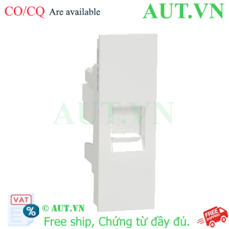 Ảnh của Ổ cắm mạng cat6 size S Schneider M3T1RJ6M_WE