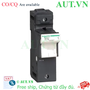 Ảnh của Đế Cầu Chì Schneider DF221 - 125A, 690VAC, Chuẩn 22x58mm (Lắp Ray DIN)