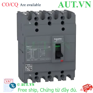 Ảnh của MCCB Schneider EZC100N4100