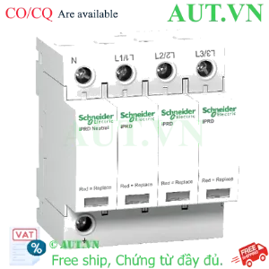 Ảnh của ...