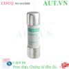 Ảnh của Cầu chì Schneider DF2EA10