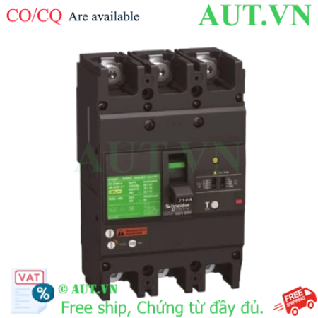 Ảnh của CB khối chống giật Schneider EZCV250H3063 63A 36kA 3P