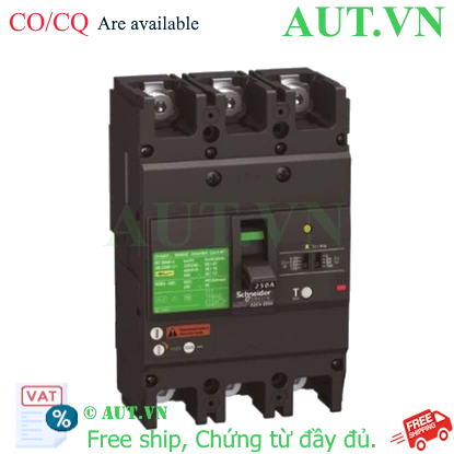 Ảnh của CB khối chống giật Schneider EZCV250H3080 80A 36kA 3P