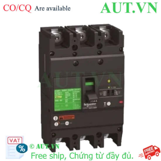 Ảnh của CB khối chống giật Schneider EZCV250H3160 160A 36kA 3P