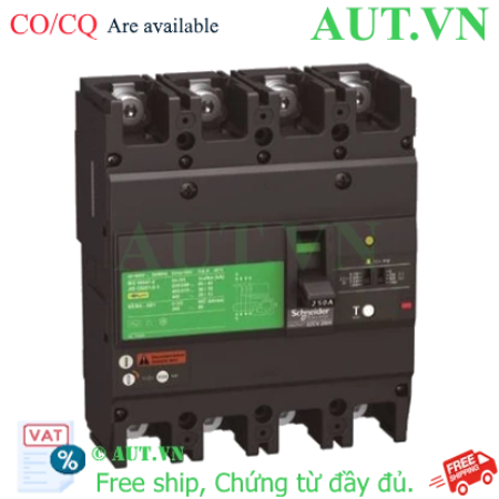 Ảnh của CB khối chống giật Schneider EZCV250N4200 200A 25kA 4P