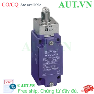 Ảnh của Công tắc hành trình Schneider XCKJ167H29