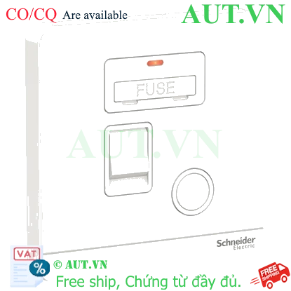 Ảnh của Mặt đấu dây có cầu chì 13A Schneider E8331DFSGN_WE_G19