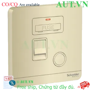 Ảnh của Mặt đấu dây có cầu chì 13A Schneider E8331DFSGN_WG_G19