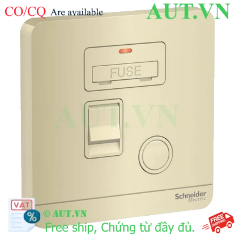 Ảnh của Mặt đấu dây có cầu chì 13A Schneider E8331DFSGN_WG_G19