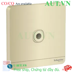 Ảnh của Mặt đấu dây Schneider E8331TB_WG_G19