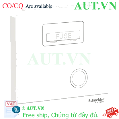 Ảnh của Mặt đấu dây, cầu chì 13A Schneider E8330FSG_WE_G19