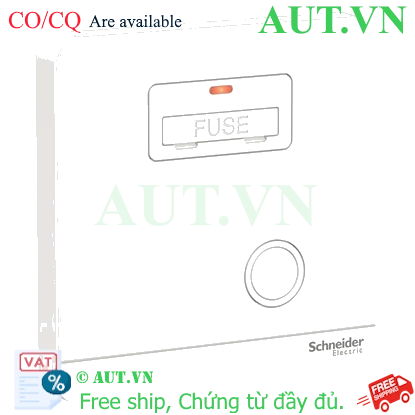 Ảnh của Mặt đấu dây, cầu chì 13A Schneider E8330FSGN_WE_G19
