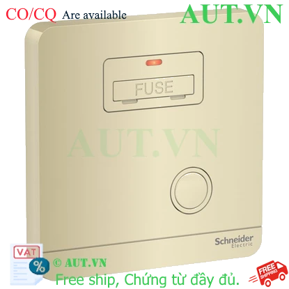 Ảnh của Mặt đấu dây, cầu chì 13A Schneider E8330FSGN_WG_G19