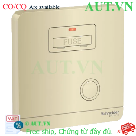 Ảnh của Mặt đấu dây, cầu chì 13A Schneider E8330FSGN_WG_G19