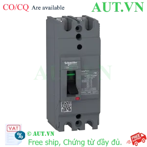 Ảnh của MCCB Schneider EZC100H2030