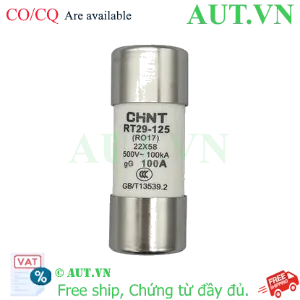 Ảnh của Cầu chì hình ống CHINT RT29-125 100A gG/gL 