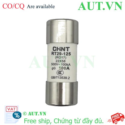 Ảnh của Cầu chì hình ống CHINT RT29-125 100A gG/gL 