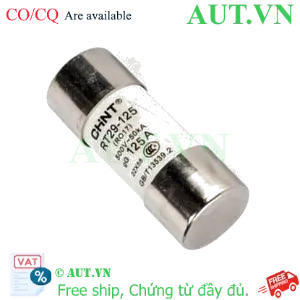Ảnh của Cầu chì hình ống CHINT RT29-125 125A gG/gL 