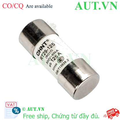 Ảnh của Cầu chì hình ống CHINT RT29-125 125A gG/gL 