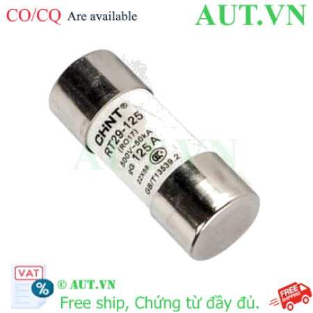 Ảnh của Cầu chì hình ống CHINT RT29-125 125A gG/gL 