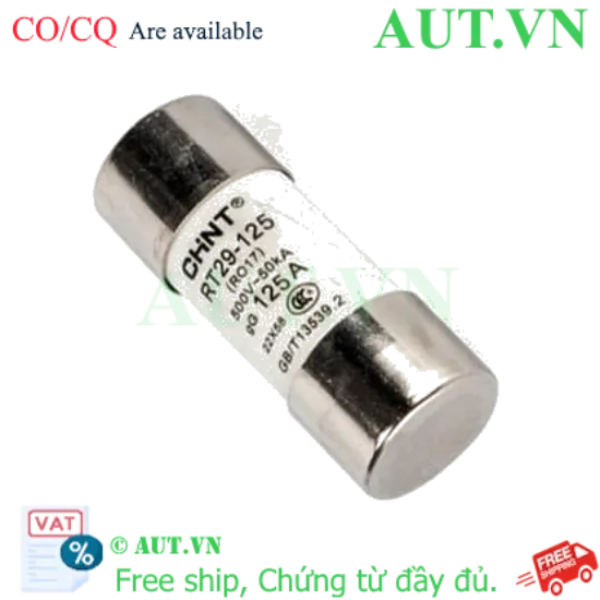 Ảnh của Cầu chì hình ống CHINT RT29-125 125A gG/gL 