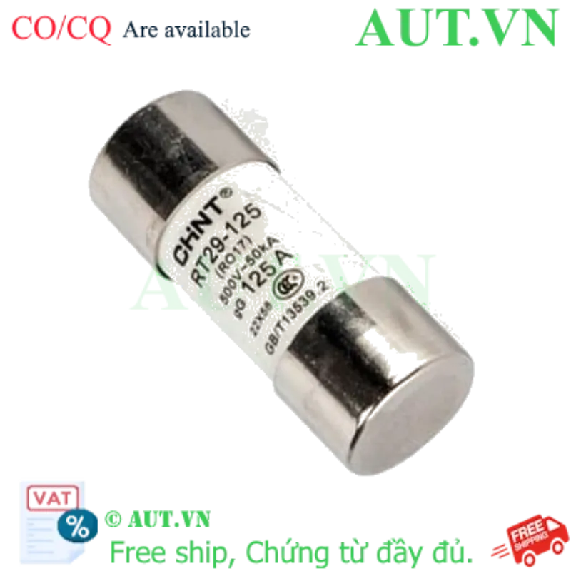 Ảnh của Cầu chì hình ống CHINT RT29-125 125A gG/gL 