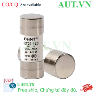 Ảnh của Cầu chì hình ống CHINT RT29-125 40A gG/gL 
