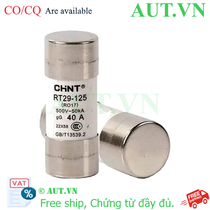 Ảnh của Cầu chì hình ống CHINT RT29-125 40A gG/gL 