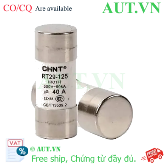 Ảnh của Cầu chì hình ống CHINT RT29-125 40A gG/gL 