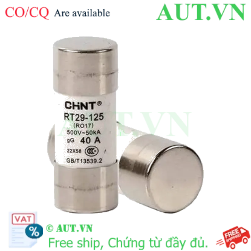 Ảnh của Cầu chì hình ống CHINT RT29-125 40A gG/gL 