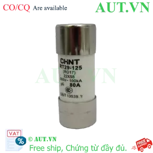 Ảnh của Cầu chì hình ống CHINT RT29-125 80A gG/gL 