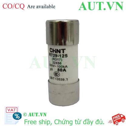 Ảnh của Cầu chì hình ống CHINT RT29-125 80A gG/gL 
