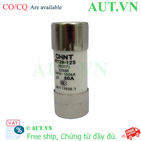 Ảnh của Cầu chì hình ống CHINT RT29-125 80A gG/gL 