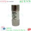 Ảnh của Cầu chì hình ống CHINT RT29-125 80A gG/gL 