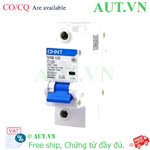 Ảnh của Áp tô mát cài loại nhỏ CHINT NXB-125 1P C100 