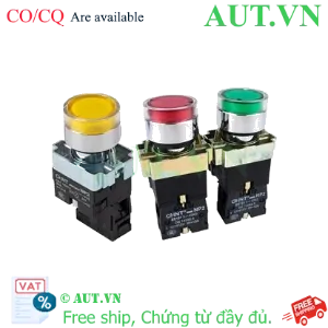 Ảnh của Nút Nhấn Có Đèn CHINT NP2-BW3661 | 230VAC, LED Xanh, Phi 22 (Nhấn Nhả)