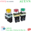 Ảnh của Nút Nhấn Có Đèn CHINT NP2-BW3662 | LED Xanh 230VAC, 1NC, Nhấn Nhả D22