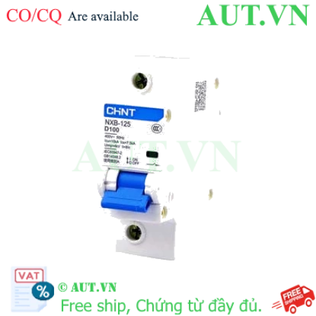 Ảnh của Áp tô mát cài loại nhỏ CHINT NXB-125 1P D100 