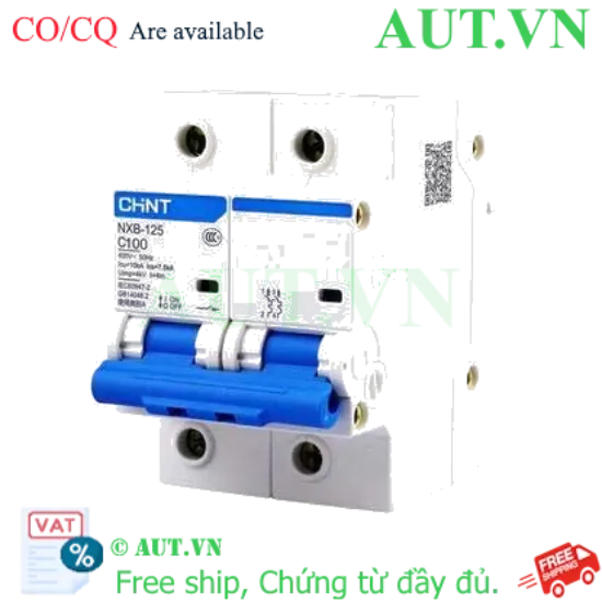 Ảnh của Áp tô mát cài loại nhỏ CHINT NXB-125 2P C100 