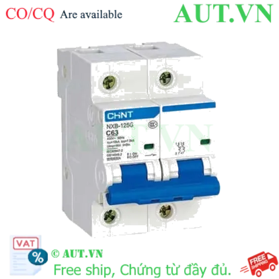 Ảnh của Áp tô mát cài CHINT NXB-125G 2P C63A 