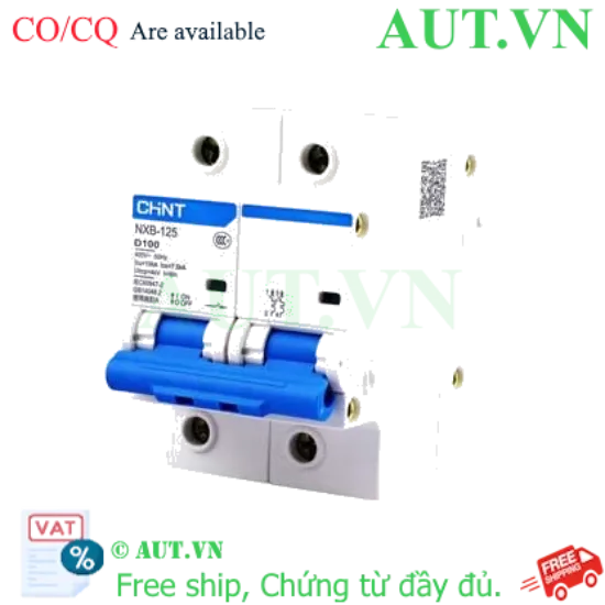 Ảnh của Áp tô mát cài loại nhỏ CHINT NXB-125 2P D100 
