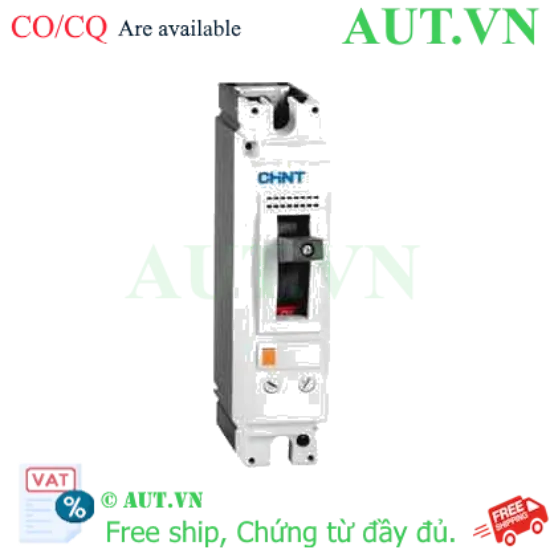 Ảnh của Áp-tô-mát khối MCCB CHINT NM8N-125C TM 100 1P 