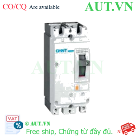Ảnh của Áp-tô-mát khối MCCB CHINT NM8N-125C TM 100 2P 